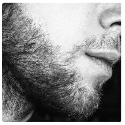 Organic Natural Men Beard Oil for Men - Grooming Care