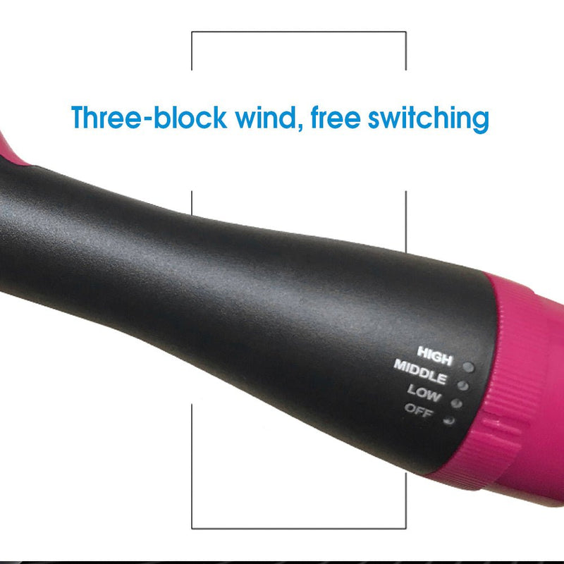 4-in-1 One Step Hair Dryer Brush